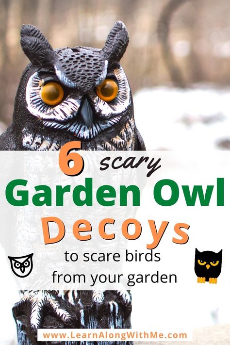 6 scary garden owl decoys to scare off other birds from your garden. Hawks Painting, Scary Garden, Owl Garden Decor, Owl Yard Art, Owl Garden Art, Bird Deterrents, Garden Owl, Small Water Features, Patio Signs