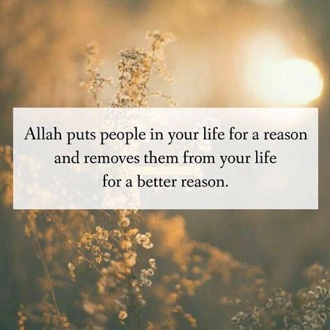 Allah puts people in your life Stay Quotes, Fake People Quotes, Islam Quotes About Life, Self Inspirational Quotes, Best Islamic Quotes, Calligraphy Quotes, People Leave, Fake People, Islam Facts