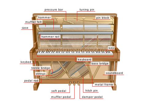 upright piano image Piano Diagram, Piano Pedagogy, Basic Anatomy, Piano Classes, Piano Teaching Resources, Music Teaching Resources, Webster Dictionary, Homeschool Music, Visual Dictionary