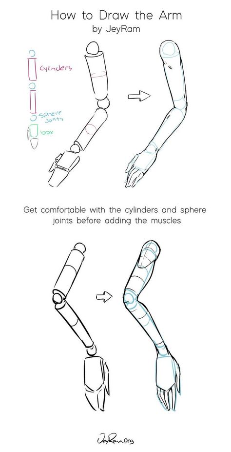 Learn how to draw the arm of the figure using this tutorial and the free worksheets on the site. Learning to draw anatomy can be quite challenging but it can be simplified into digestible steps that make it much easier to make progress. This method works for drawing the arms at any angle and at any level of muscular development. Check out more Tutorials over on my site (JeyRam dot Org) if you want more drawing exercises! #art #drawing #tutorial #anatomy Draw Arms, Drawing Arms, Arm Anatomy, Photo Manga, Arm Drawing, Arm Art, 얼굴 드로잉, Anatomy Tutorial, Human Anatomy Drawing