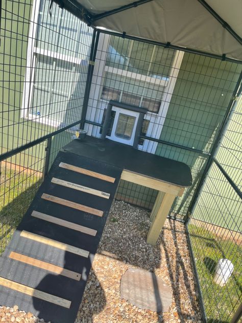 Outdoor Dog Area, Diy Dog Run, Backyard Dog Area, Dog Enclosure, Dog Backyard, Dog Kennel Designs, Diy Dog Kennel, Kitchen Remodel On A Budget, Outdoor Dog House