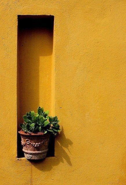 Yellow Architecture Aesthetic, Fashion Wallpaper Aesthetic, Arizona Decor, Old Paper Background, Minimal Photography, Cute Black Wallpaper, Instagram Ideas Post, Wallpaper Nature Flowers, Best Poses For Pictures