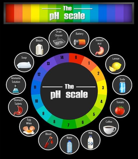 Ph Scale, School Science Projects, Ap Chemistry, Chemistry Classroom, Chemistry Education, Blood In Water, Clean Eating Lifestyle, About Science, Diy Science