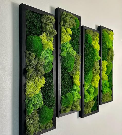 We always love a classic design with gorgeous greens 😮‍💨😮‍💨 Happy Friday everyone!! 😊 Room With No Windows, Moss Wall Decor, Moss Frame, Moss Pole, Moss Decor, Reindeer Moss, Tv Room Design, Moss Wall Art, Pastel House