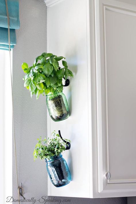 Kitchen Window Herb Garden, Garden In Kitchen, Jar Herb Garden, Hanging Herb Gardens, Green Mason Jars, Vertical Herb Gardens, Window Herb Garden, Mason Jar Herbs, Mason Jar Herb Garden