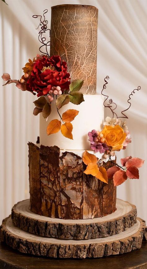 Wood Slice Wedding Cake, Tree Stump Wedding Cake, Woodland Theme Wedding Cake Woodland Theme Wedding Cake, Rustic Theme Cake, Autumn Wedding Cake Ideas, Autumnal Cake, Stump Wedding Cake, Wedding Cake Ideas Elegant, Autumn Wedding Cake, Woodland Wedding Cake, Forest Wonderland