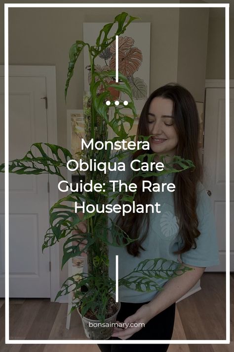 Step into the exclusive world of Monstera Obliqua care with our guide dedicated to nurturing this rare houseplant gem. Uncover the mysteries behind its unique beauty, learn the specialized care it craves, and elevate your plant parenthood with insider tips. Click now to delve into the extraordinary care journey of Monstera Obliqua, and follow us for a continuous flow of rare plant enchantment! Monstera Obliqua Care, Plant Parenthood, Monstera Obliqua, Rare Beauty, Unique Beauty, Rare Plants, House Plants, Plants, Beauty