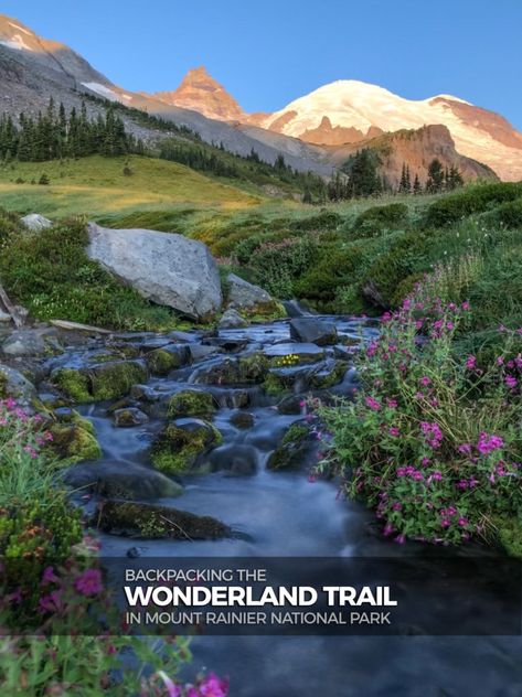 Wonderland Trail Mt Rainier, Washington Lakes, Wonderland Trail, Spray Park, Backpacking Trails, Bike Packing, Washington Hikes, Itinerary Planner, Thru Hiking