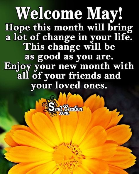 New Month May Blessings, Welcome May Month, Good Morning Family Quotes, May Blessings, May Month, New Month Wishes, Welcome May, Daily Wishes, Good Morning Spiritual Quotes