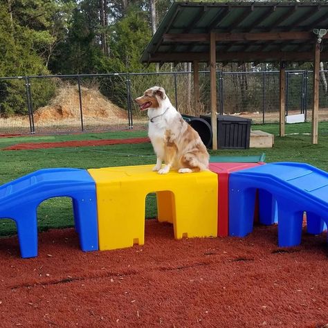 Puppy Playground manufactures Dog Play Equipment and games that actively promotes physical exercise, mental stimulation and social interaction. Ideal for Dog Parks, Dog Daycare, Training Facilities, Apartment Complexes and the Back Yard Dog Backyard Playground, Backyard Play Equipment, Puppy Playground, Dog Play Area, Indoor Dog Park, Dog Friendly Backyard, Dog Backyard, Dog Kennel Designs, Dog Yard