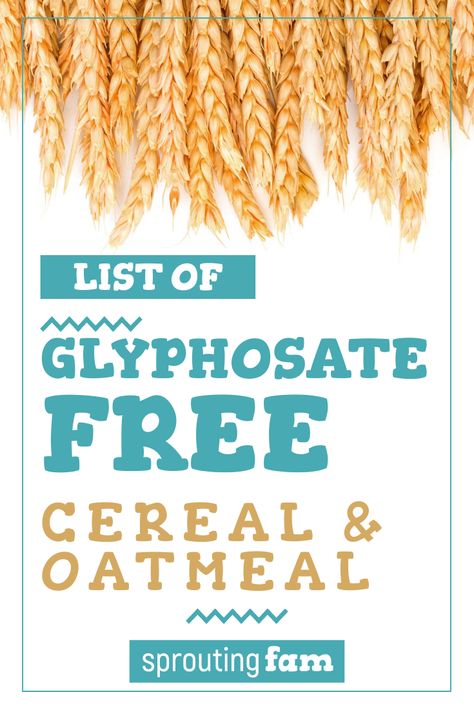 glyphosate free oatmeal Sugar Free Cereal, Organic Cereal, Prediabetic Diet, Cereal Brands, Oat Cereal, Daniel Fast Recipes, Company Meals, Food Facts, Junk Food