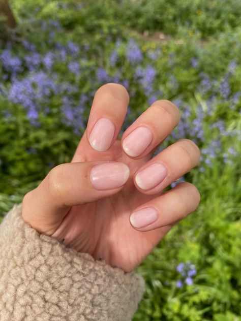 I'm calling it – the American manicure is way more elegant than the French | HELLO! Natural American Manicure, Natural Hard Gel Nails, French American Nails Natural, American Tip Manicure, Russian Manicure Natural, Short Clean Nails Natural, American French Tip, Short Classic Nails, Minimalist French Tip Nails