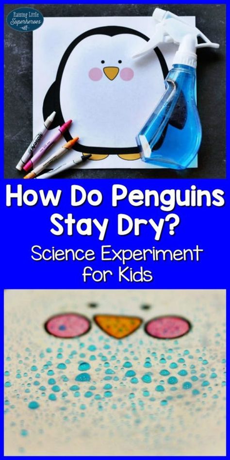 Winter Science Experiments, Penguin Activities, Science Experiment For Kids, Winter Science, Experiment For Kids, Polar Animals, Kid Experiments, Winter Preschool, Animal Science