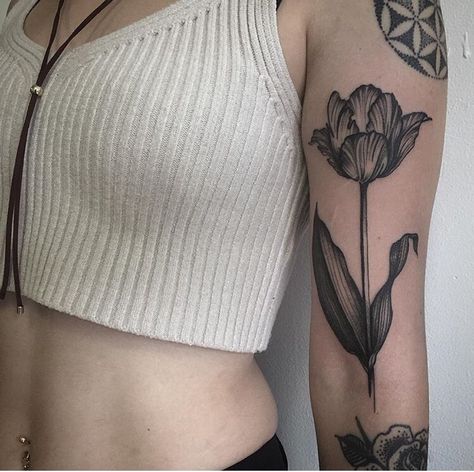 Blackwork style tulip tattoo on the left upper arm by Joseph Bryce Botanisches Tattoo, Tulip Tattoo, Female Tattoos, Upper Arm Tattoos, Floral Tattoo Sleeve, Botanical Tattoo, Dainty Tattoos, Aesthetic Tattoo, Great Tattoos