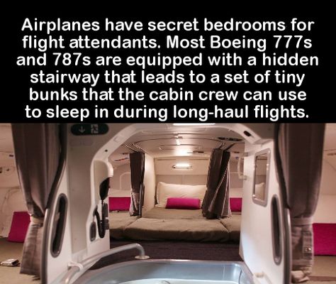 19 Interesting Facts You Probably Didn't Know