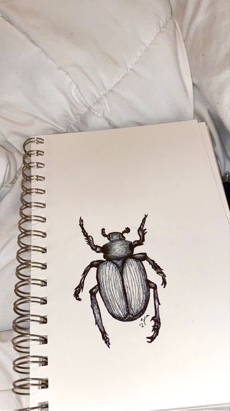 Beetle Drawing, Bugs Drawing, Ballpoint Pen Art, Stippling Art, Ballpoint Pen Drawing, Notebook Drawing, Pen Art Drawings, Watercolor Books, Sketchbook Drawings