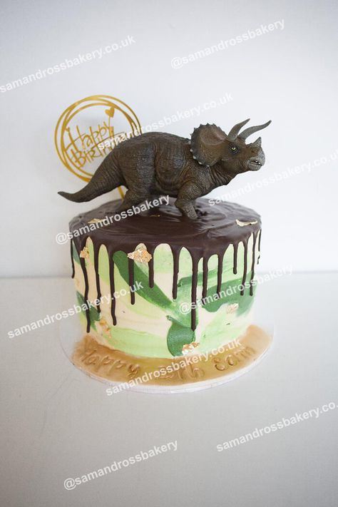 Dinosaur themed vegan chocolate birthday cake with drip Triceratops Cake Dinosaur Birthday, Triceratops Birthday Cake, Girlie Birthday Cakes, Cake With Drip, Triceratops Cake, Victoria Sponge Cupcakes, Cow Birthday Cake, Chocolate Orange Cupcakes, Dinosaur Triceratops