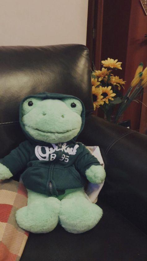 Build Bear Frog, Bild A Bear Frog, Build A Bear Frog Aesthetic Outfits, Bab Frog Outfits, Build A Bear Frog Outfit Ideas, Build A Bear Aesthetic Outfit, Build A Bear Frog Clothes, Build A Bear Frog Names, Build A Bear Frog Outfits