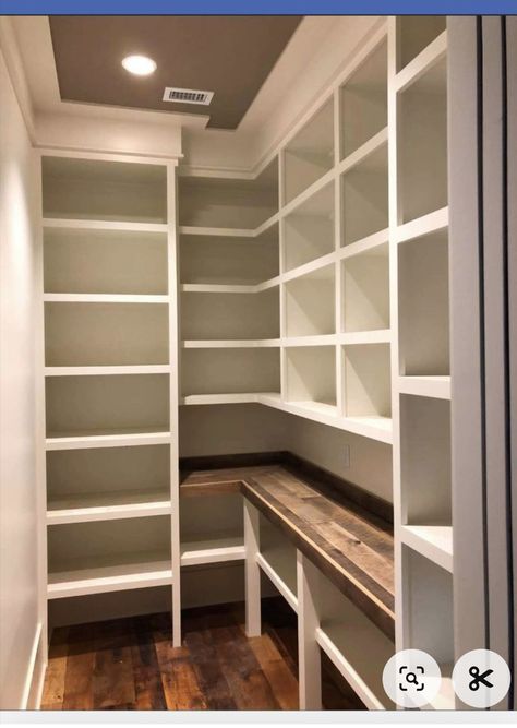 Long Narrow Pantry, Narrow Walk In Pantry, Walk In Pantry Ideas Layout, Book Shelf Library, Walk In Pantry Ideas, Narrow Pantry, Shelf Library, Closet Under Stairs, Pantry Closet Design