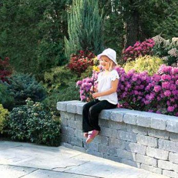 Add a Sitting Wall Tiered Lawn, Sitting Wall, Paver Ideas, Cast Concrete, Backyard Buildings, Patio Projects, Backyard Seating, Building Stone, Backyard Camping