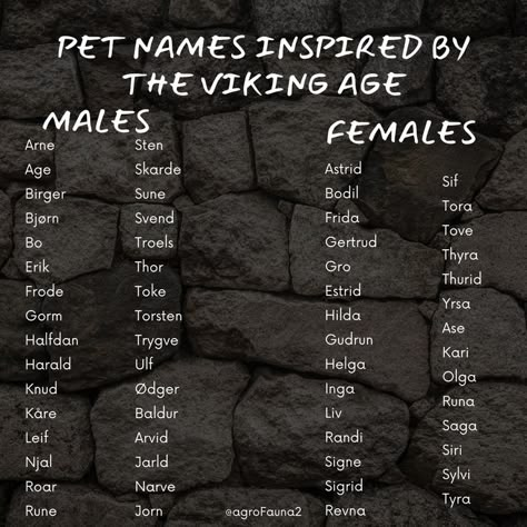 A list of pet names inspired by the viking age Viking Baby Names, Celestial Baby Names, Norse Names, Viking Names, Viking Aesthetic, Warrior Names, Writing Inspiration Tips, Best Character Names, Fantasy Names