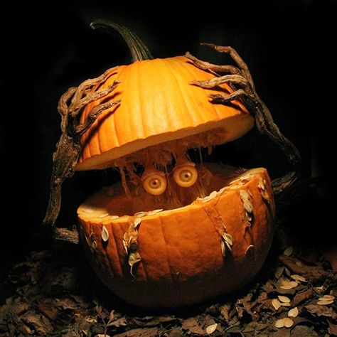 8. Peek-a-Boo! Cool Pumpkin Designs, Funny Pumpkin Carvings, Contest Ideas, Pumkin Carving, Pumpkin Carving Contest, Creative Pumpkin Carving, Amazing Pumpkin Carving, Pumpkin Contest, Scary Pumpkin Carving