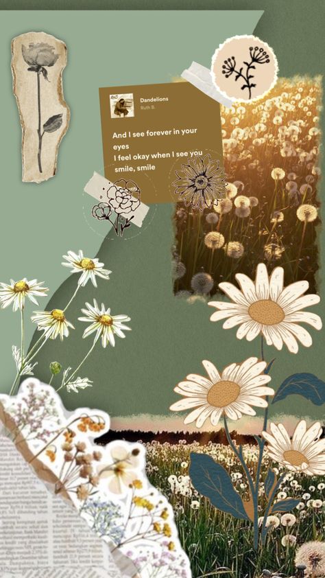 Aesthetic Dandelion Wallpaper, Daisy Vintage Aesthetic, Dandelions Song Wallpaper, Dandelions Song Aesthetic, Dandelion Aesthetic Art, Dandelion Flower Aesthetic, Dandelions Aesthetic, Aesthetic Dandelion, Daisy Flower Aesthetic