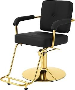 Black And Gold Salon, Gold Salon, Stylist Chair, Salon Styling Chairs, Inbox Zero, Salon Chairs, Barber Chair, Hydraulic Pump, Beauty Equipment