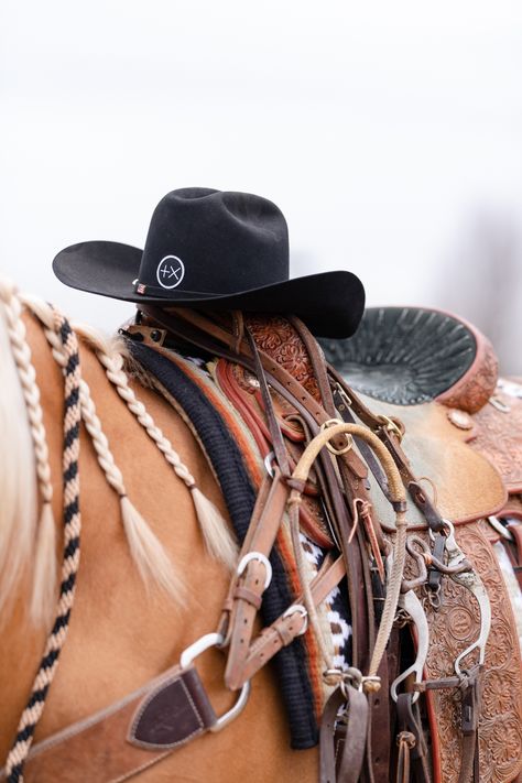 Horse Show Pictures, Western Pleasure Outfit, Fresh Branding, Stock Horse, Horse Pics, Western Photography, Western Tack, Branding Shoot, Western Pleasure