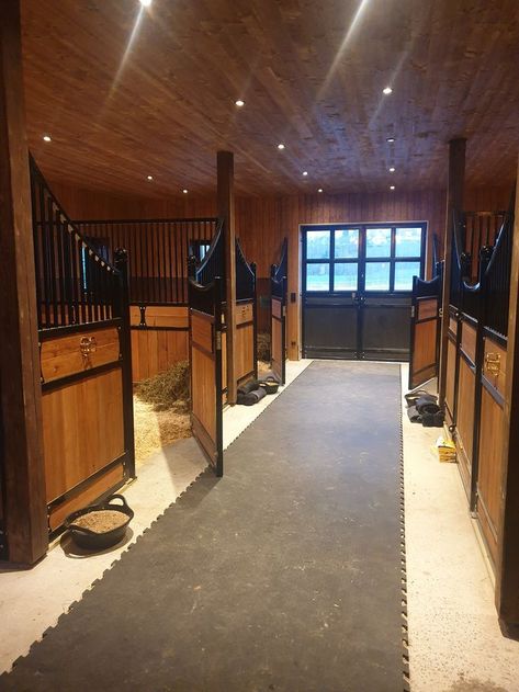 Credence Penelope Douglas, Luxury Horse Stables, Luxury Horse Barns, Dream Barn Stables, Equestrian Barns, Barn Layout, Horse Farm Ideas, Horse Barn Ideas Stables, Horse Barn Designs