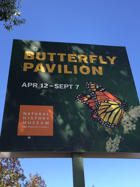 Natural History Museum Los Angeles, Suspended Signage, Butterfly Exhibit, Museum Los Angeles, Butterfly Pavilion, Natural History Museum, Los Angeles County, History Museum, Field Trip