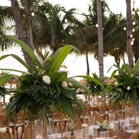 Perfect Team Event Planners on Instagram: "Venue: @renaruba Planner: @renarubaweddings Photography: @demiangibbsphotography #weddingsaruba #arubaboda #arubawedding #destination #onehappyisland #beach #beachwedding #islandwedding #aruba #weddingafterparty #tropicalwedding" Aruba Wedding, Aruba Weddings, Wedding After Party, Hay Day, Team Events, December 27, Wedding Beach, Event Planners, Island Weddings