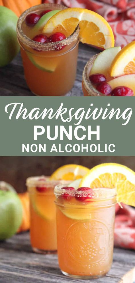 Thanksgiving Recipes Drinks, Thanksgiving Punch, Thanksgiving Cocktail Recipes, Homemade Soda, Soda Shop, Fall Cocktails Recipes, Thanksgiving Drinks, Thanksgiving Cocktails, Thanksgiving Cooking