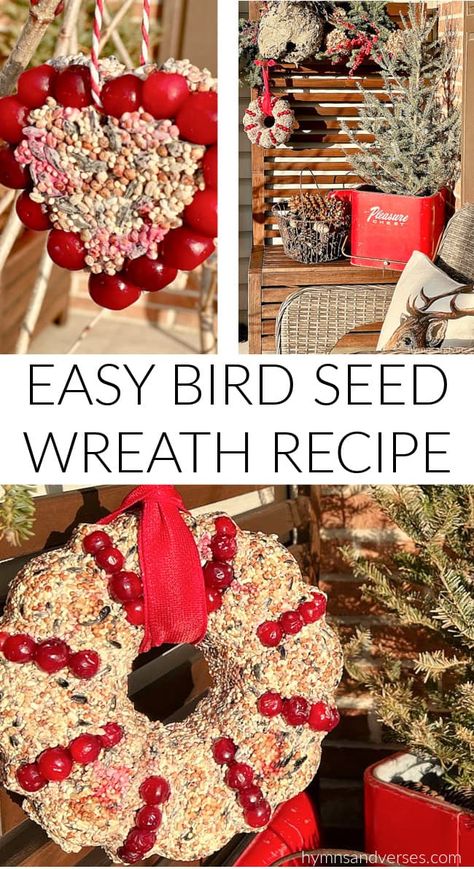 Bird Seed Wreath Recipe, Bird Seed Crafts, Bird Seed Wreath, Bird Seed Ornaments Recipe, Food Wreath, Winter Bird Feeders, Seed Ornaments, Camp Christmas, Wreath Recipe