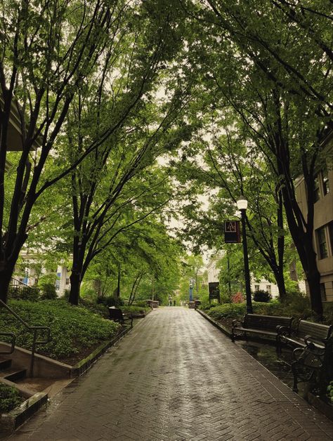 Academic Green Aesthetic, Green College Aesthetic, College Building Aesthetic, School Aesthetic Green, School Garden Aesthetic, Green School Aesthetic, University Aesthetic Campus, Green Light Academia, Green Trees Aesthetic