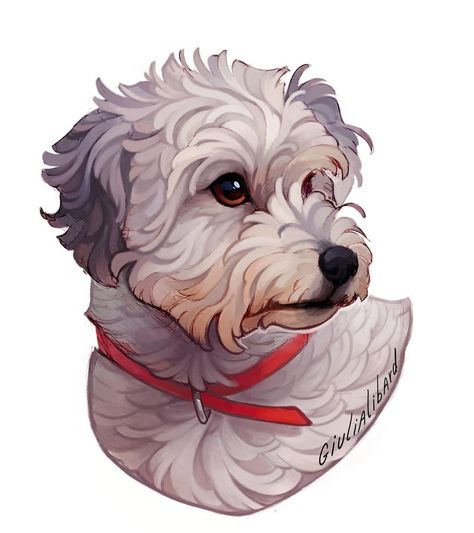 Dog Digital Art, Dog Portraits Illustration, Animal Portraits Art, Fantasy Drawings, Animal Study, Canine Art, Profile On Instagram, Animal Sketches, Digital Art Illustration