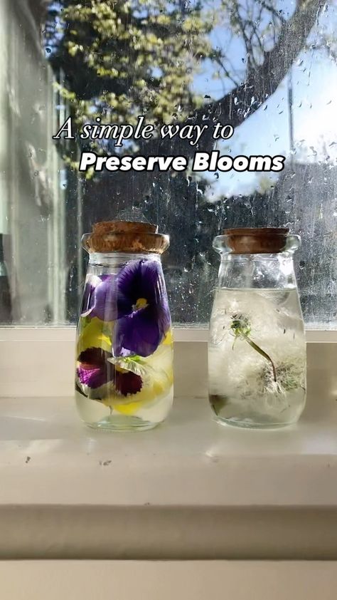 Natalie | Did you know that a long lasting way to preserve flowers is in baby oil?! Recycle glass jars by removing the labels and filling them with… | Instagram Recycle Glass Jars, Preserve Flowers, Homesteading Diy, Flowers In Jars, Baby Oil, Spring Blooms, In A Jar, How To Preserve Flowers, Recycled Glass