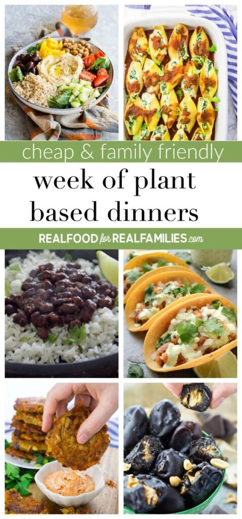 Plant Based Dinners, Cheap Vegan Meal Plan, Whole Plant Based Diet, Cheap Vegetarian Meals, Plant Based Diet Meals, Family Meal Prep, Cheap Vegan Meals, Plant Based Meal Planning, Plant Based Recipes Dinner