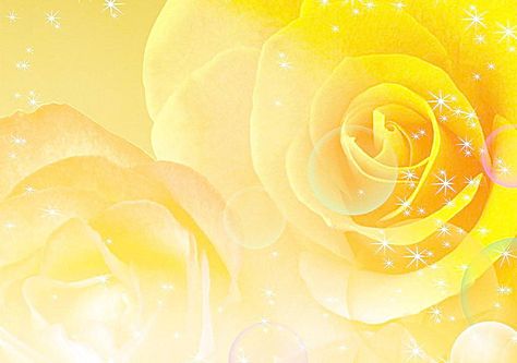 Yellow Rose Background, 2000s Background, Background Images Yellow, 2000s Wallpaper, Flower Background Images, Y2k Art, Film Photography Tips, Rose Background, Logo Gallery