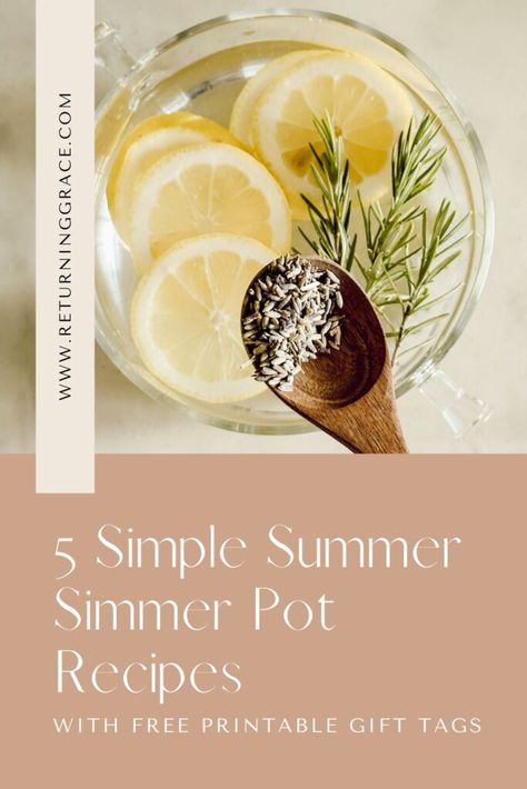 Freshen your home with these Summer simmer pot recipes! Natural scents made from everyday ingredients—perfect for gifts and easy to create! Summer Simmer Pot Recipes House Smells, Summer Stovetop Potpourri, Stovetop Simmer Recipes, Summer Simmer Pot Recipes, Fall Simmering Pot Recipes, Summer Simmer Pot, Stovetop Simmer, House Scents, Apothecary Remedies