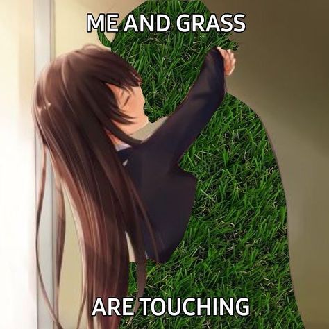 Me And The Grass Touching, Touch Grass Reaction Pic, Sobbing Meme, Touch Meme, Touhou Anime, Rawr Xd, Girl Memes, Quality Memes, Silly Girls