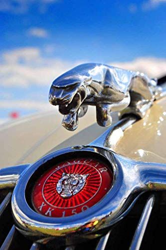 Jaguar Car Logo, Leaping Cat, Car Jaguar, Vintage Jaguar, Jaguar Tattoo, Car Hood Ornaments, Unique Vehicles, Retro Auto, Automotive Illustration