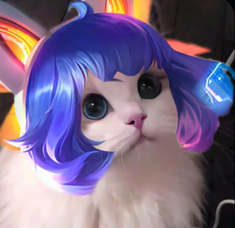 𝑴𝒍𝒃𝒃 𝒄𝒂𝒕 Legend Cat, Alucard Mobile Legends, Cat Icon, Animated Love Images, Anime Dancer, Cute Cartoon Drawings, Cute Anime Profile Pictures, Bang Bang