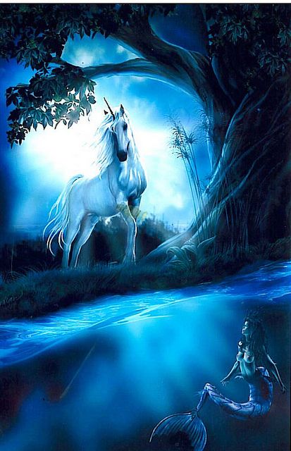 Wallpaper Unicorn, Unicorn And Fairies, Pegasus Unicorn, Unicorn Pictures, Unicorns And Mermaids, Fantasy Horses, The Last Unicorn, Fairy Dragon, Unicorn Horse