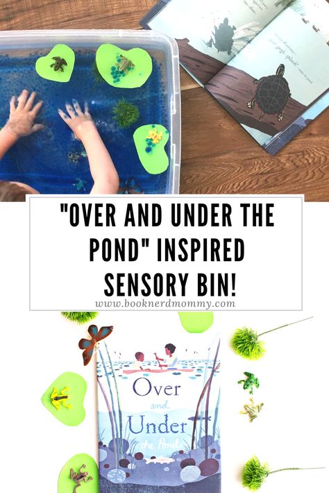 DIY pond sensory bin book activity inspired by "Over and Under the Pond". Great for teaching about ecosystems and compete with water beads and frogs! Pond Sensory Bin, Pond Sensory, Pond Life Theme, Kate Messner, Pond Habitat, Toddler Sensory Bins, Diy Pond, Pond Life, Preschool Class