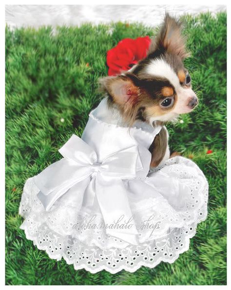 Dog Clothes Pet Dress Blouse Costume ELEGANT WHITE PINK WEDDING DRESS Catholic Wedding Dresses, White Pink Wedding, Dogs Wedding, Doggie Clothes, Dog Wedding Outfits, Dog Wedding Dress, Flower Girl Outfit, Pink Wedding Dress, Custom Dress