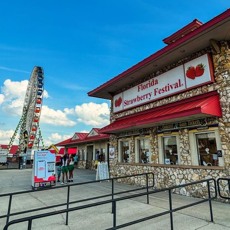 The Florida Strawberry Festival always hits it out of the park!! It has been a yearly tradition for us for 4 years now and it will continue for many more 🍓 📍 @flstrawberryfestival 😋 Strawberry Shortcake, Peanut Butter & Bacon & Caramel Apple Fries, Frozen Strawberry Lemonade, Fried Cheese Curds, Berry Berry Corndog #strawberry #strawberryfestival #plantcity #plantcityfl #2024strawberryfestival #berry #festival #thingstodo #orlandoblogger #daytrip #foodie #foodblogger #foodphotography #fai... Poteet Strawberry Festival, Strawberry Festival Plant City, Orange County Fair, Frozen Strawberry Lemonade, Fried Cheese Curds, Caramelized Bacon, State Fair Movie 1945, Amusement Park Ferris Wheel, Cheese Curds