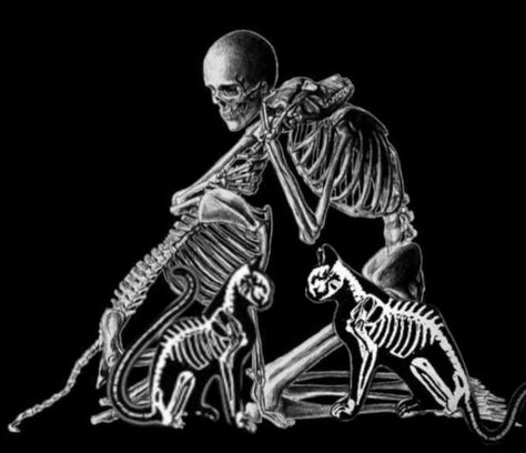 Dog And Human Skeleton Hugging, Cat And Human Skeleton, Skeleton And Dog Tattoo, Skeleton Holding Cat, Skeletons Hugging, Skeleton And Dog, Skeleton Pics, Skeleton Dog, Skeleton Artwork