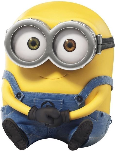 Minion Cute, Bob The Minion, Bob Minion, Minion Classroom, Minion Photos, Minion Stickers, King Bob, Minions Images, Yellow Minion