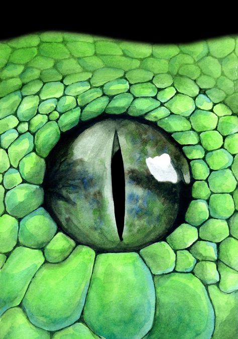 Snake eye print ;Realism painting; Watercolor art; Reptile lover; Reptile drawing; Picture of reptile; Snake picture; Snake image Snake Picture, Pictures Of Reptiles, Reptile Eye, Snake Images, Snake Painting, Regard Animal, Snake Drawing, Drawing Course, Snake Art